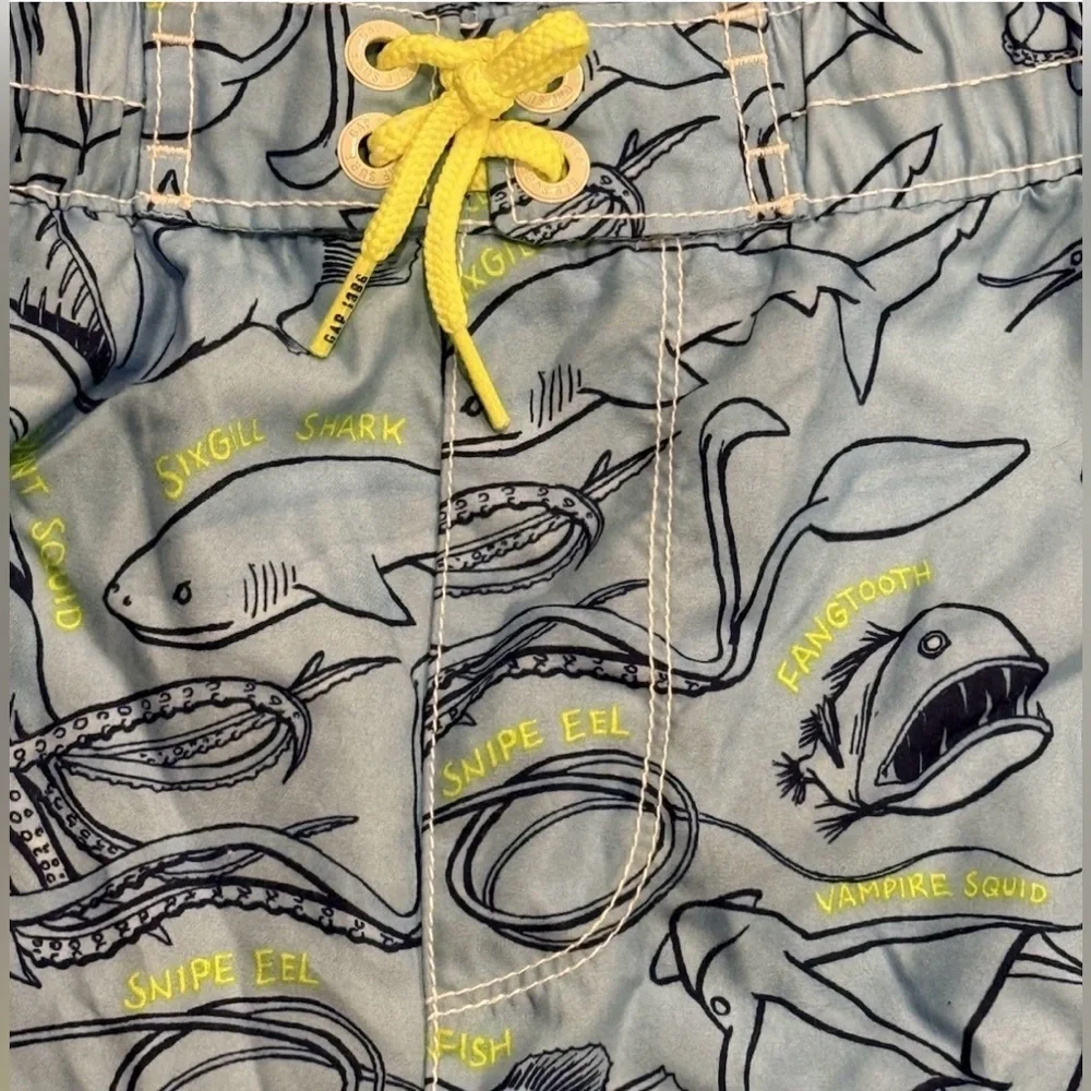 GAP trunks lined sea